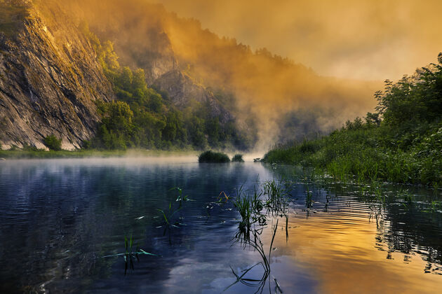 树太阳把河面上的晨雾涂成了鲜艳的颜色荒野雾沼泽