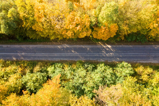 乡村鸟瞰黄色落叶树之间的空旷道路夏季景观环境
