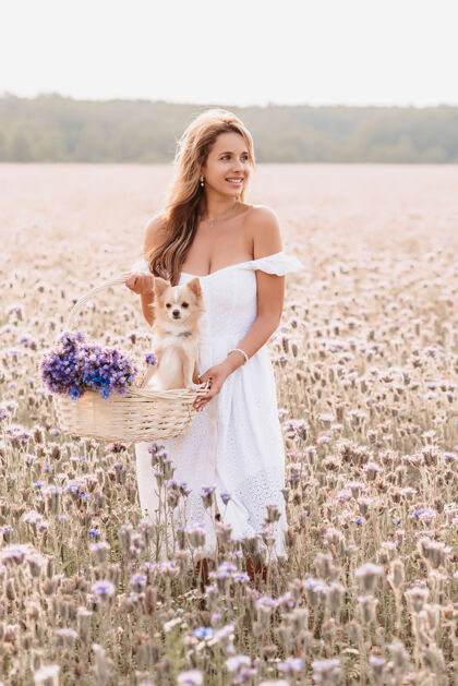 田野吉娃娃狗在花篮里 在一个女孩手里 在一片夏日的田野里 在大自然中女性微笑篮子