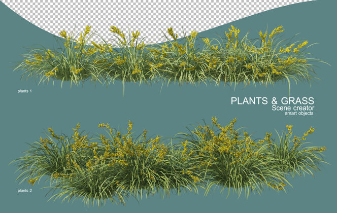 叶草和灌木排列的三维渲染草植物自然