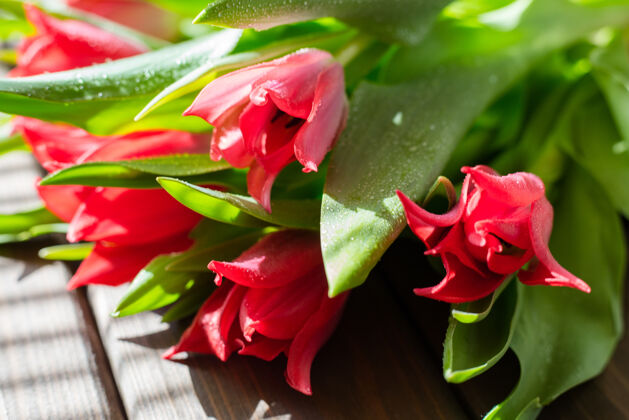 新鲜彩色的红色郁金香在木头上餐桌水来点郁金香吧滴束开花