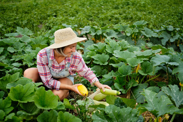 享受戴着帽子的可爱女孩在花园里摘最新鲜的南瓜和西葫芦花园.秋天蔬菜收获蔬菜生物包装