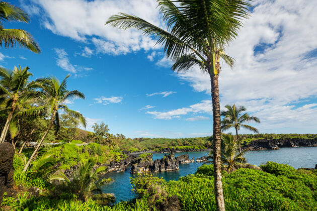 水夏威夷毛伊岛美丽的热带景观天堂风景自然
