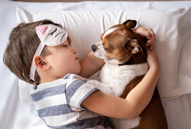 舒适吉娃娃狗和学龄前男孩睡在猫咪睡眠面罩和躺着床拥抱狗舒适睡眠宠物