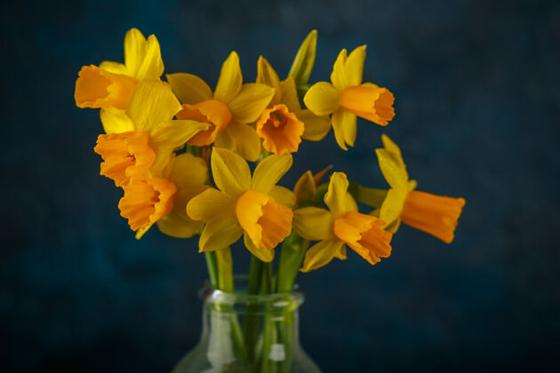 束明亮的春天黄色玻璃瓶微型水仙花花瓣季节花束