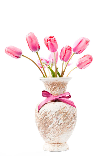 吹粉红色的郁金香插在白色的蝴蝶结上花卉时间季节