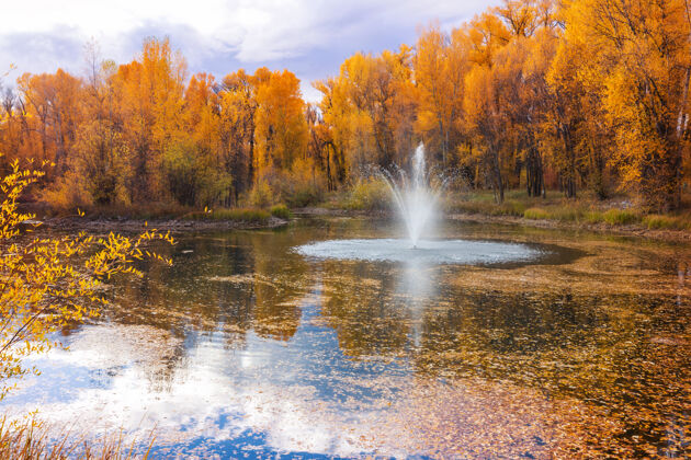 树美丽的秋园喷泉橙色树叶光