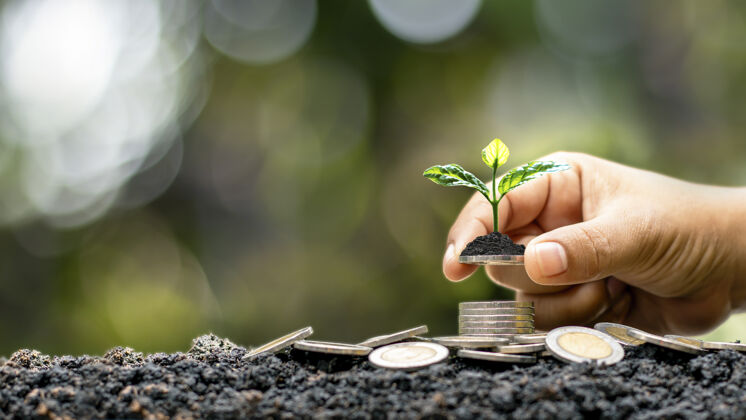 堆人类的手拿着硬币 包括硬币上生长的树 从投资或商业回报中获得财务增长的想法现金堆栈光明