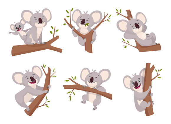 澳大利亚考拉熊.野生动物可爱的毛茸茸的动物从澳大利亚动物园字符卡通淋浴符号收集可爱考拉懒惰