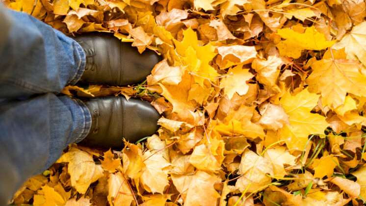 腿秋天 秋天 树叶 腿和脚鞋.概念秋天穿靴子的腿的形象叶子脚在大自然中行走生动自拍装饰