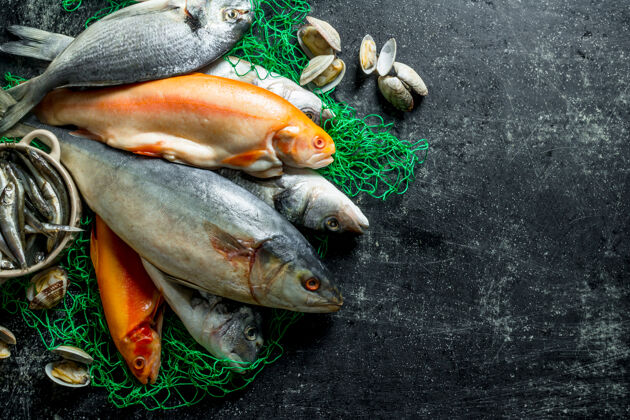 饮食在渔网上放上新鲜的鱼和牡蛎营养餐桌膳食