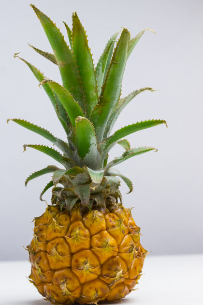 混合物白菠萝背景重量损失概念果糖生的饮食