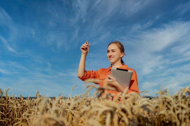工程师研究小麦种植的农民字段输入他的手拿着一个装有受试品的玻璃管和数字平板电脑收获户外谷物