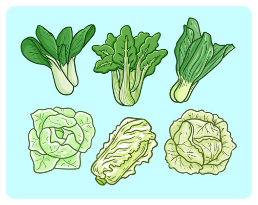 自然有趣的芥末菜和白菜在简单的涂鸦风格喜悦农业植物学
