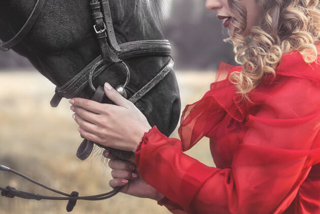 种马年轻女子穿着复古长裙 轻轻地搂着一匹马 抚摸着他的头户外女孩动物爱
