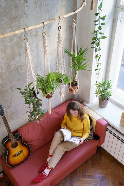 沙发女人在休息 坐在沙发上 在棉花花架下 和室内植物一起 看杂志休息花房子