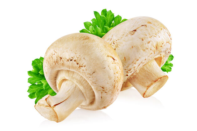 蔬菜两个普通或香菇与欧芹枝隔离在白色背景餐桌新鲜蘑菇
