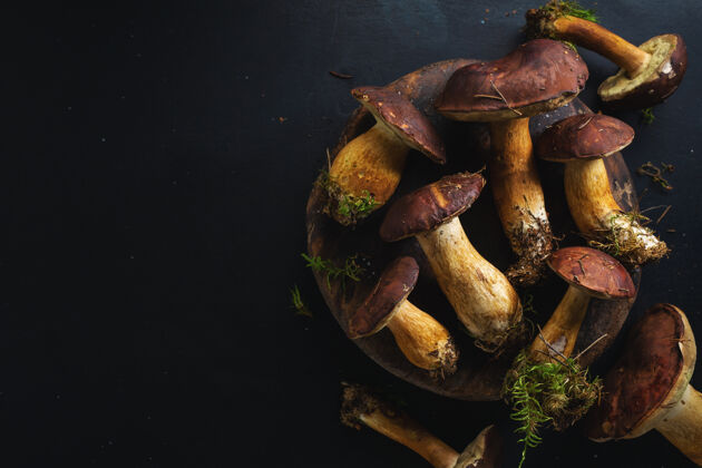 营养森林里的野生蘑菇 可以在黑暗中烹调background.view视图从上面新鲜真菌自然