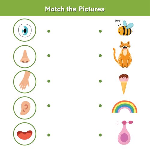 听五感相配游戏儿童视力触摸 听觉 嗅觉和味觉匹配图片活动页面五比赛纠正