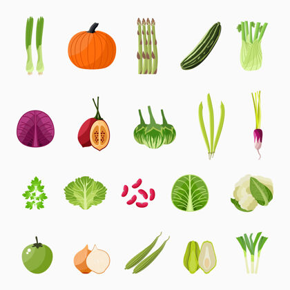 素食蔬菜图标收集插图自然分类番茄