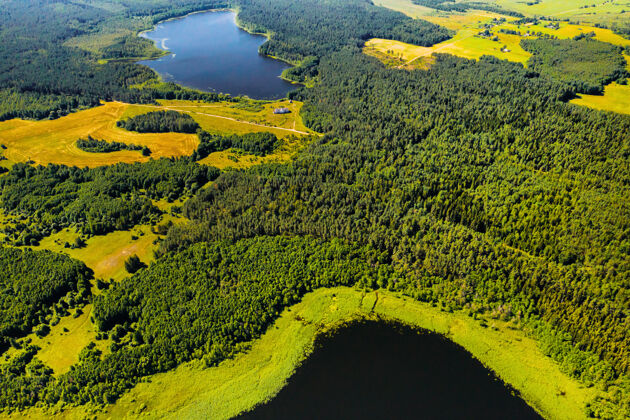 岛屿黎明时分 布拉斯拉夫湖国家公园森林中的博尔塔湖俯瞰图黎明日落森林