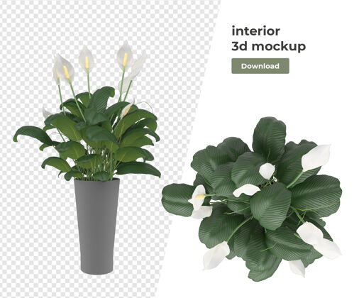 盆栽各种植物装饰3d渲染隔离植物花盆场景创作者
