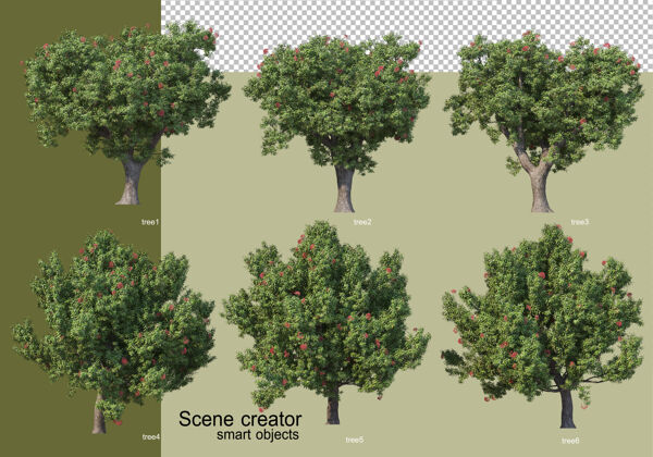 树叶各种树木的3d渲染隔离树叶环境