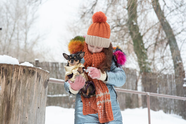 友谊漂亮的女孩 脸上挂着吉娃娃自然青少年女孩和吉娃娃在一起冬天冬天概念人人吉娃娃