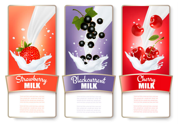 成熟一套三种牛奶浆果的标签草莓酱 蓝莓 覆盆子浆果红色背景