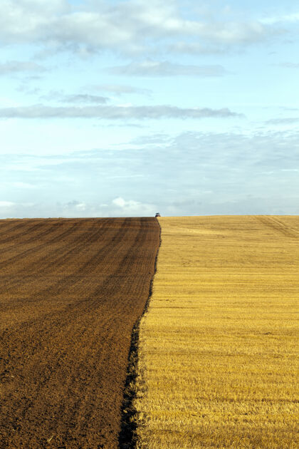 黑麦耕耘过的肥沃的土壤 是一块为农产品丰收而耕种的农田环境农田农场