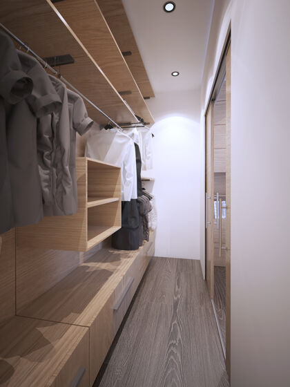 优雅白色墙壁和深色硬木地板的简约步入式衣柜客房衣架豪华