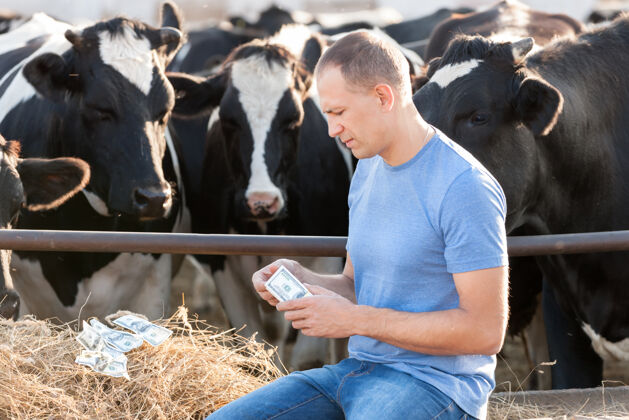 人养牛场里有钱的男人概念图代表饲养动物的成本牛牧场农业