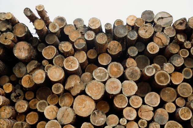 工业一堆木头原木.森林登录站点堆栈环境松树