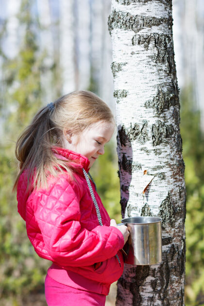 果汁小女孩在树林里收集桦树汁森林善良木本