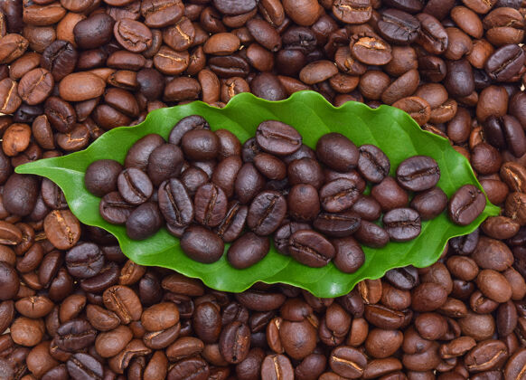 豆类咖啡豆和咖啡叶叶种子