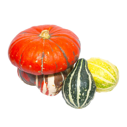 组三种颜色的蔬菜南瓜隔离在白色天然有机葫芦