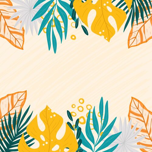 树叶热带树叶的画框棕榈气候手