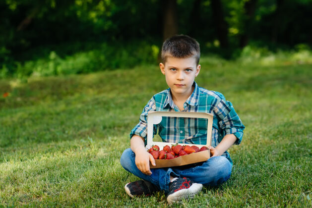 微笑一个可爱的小男孩坐在那里 手里拿着一大盒成熟美味的草莓收获成熟的草莓天然美味的草莓新鲜水果孩子