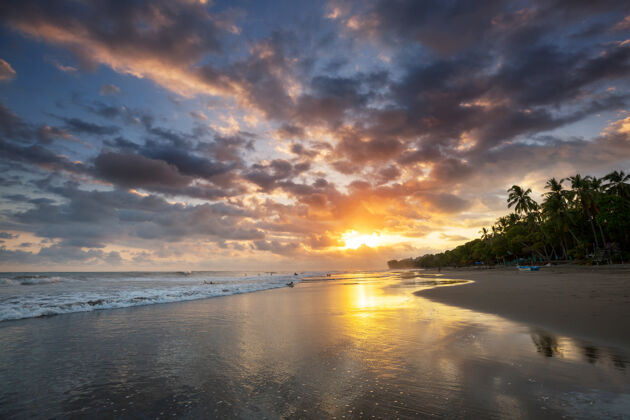丛林哥斯达黎加美丽的热带太平洋海岸中美洲加勒比海太平洋