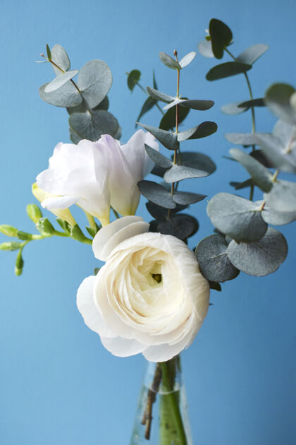 精致精致的花束 白色毛茛和小苍兰花 蓝色表面有桉树枝夏天玫瑰庆祝