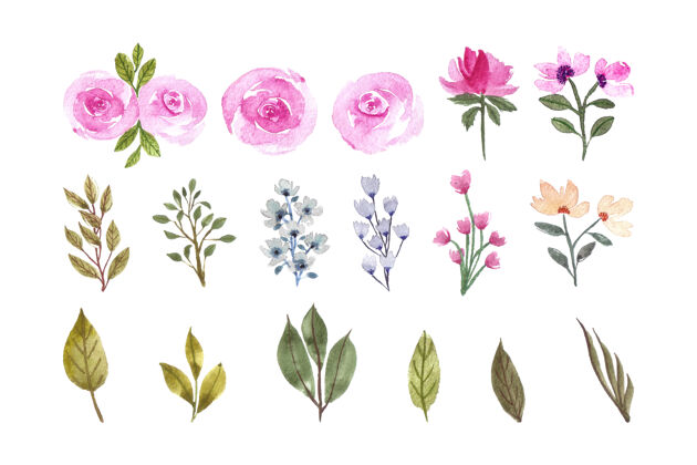 水彩画美丽的水彩花卉元素集合婚礼叶保存日期