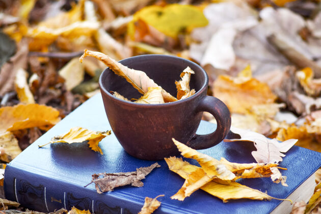 杯子在秋天的森林里 一杯咖啡和一本书上干枯的棕色叶子休息茶阅读