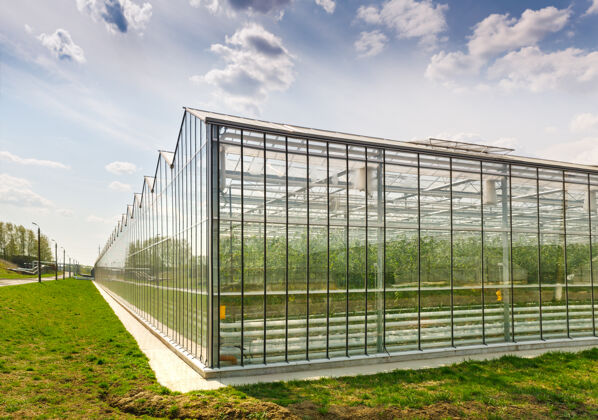 玻璃温室在户外种菜农作物绿色农业