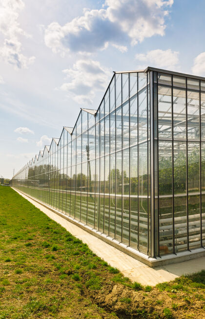 农作物温室在户外种菜建筑温室自然