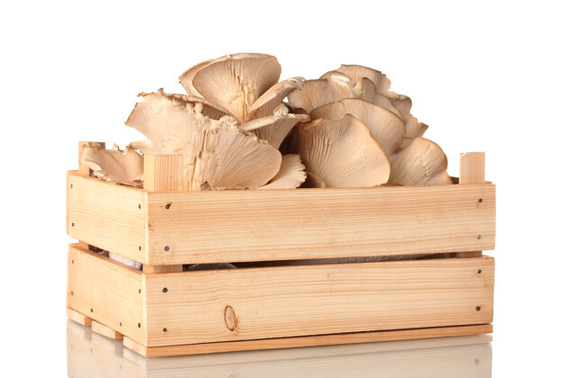 杂货牡蛎蘑菇在木箱上隔离在白色蘑菇美味餐饮