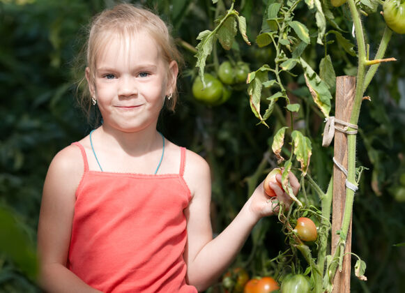 植物学厨房花园里可爱小女孩的形象农业收藏婴儿