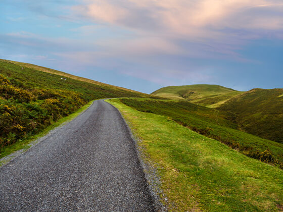 海拔马在一条孤独的山路边吃草 这条山路在绿色的牧场之间攀爬自然比利牛斯山路