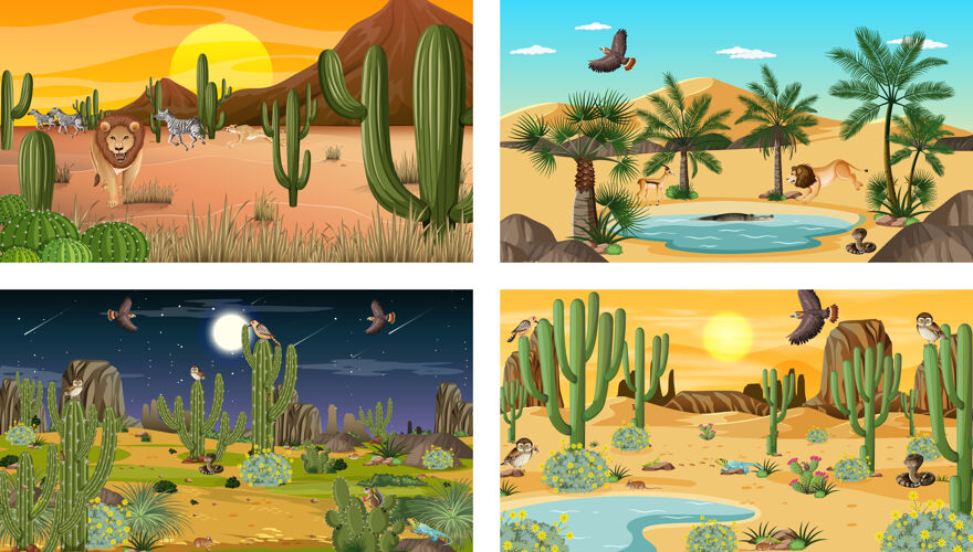 活着四种不同的沙漠森林景观与动植物场景卡通沙漠太阳