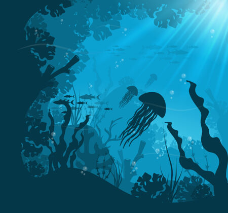 水下水下海洋场景自然野生海景