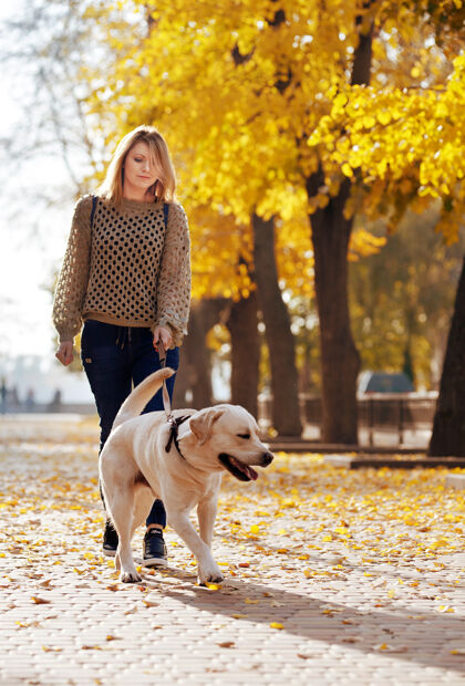 朋友秋天 金发女郎和她的拉布拉多犬躺在公园里的黄叶上健康狗温暖